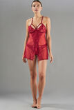 APOLLON NUISETTE DENTELLE BORDEAUX