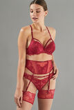 APOLLON SERRE-TAILLE DENTELLE BORDEAUX