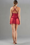 APOLLON NUISETTE DENTELLE BORDEAUX