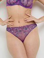 MULTICO VIOLET