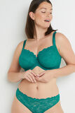DENTELLE SOUTIEN-GORGE GRANDS BONNETS VERT