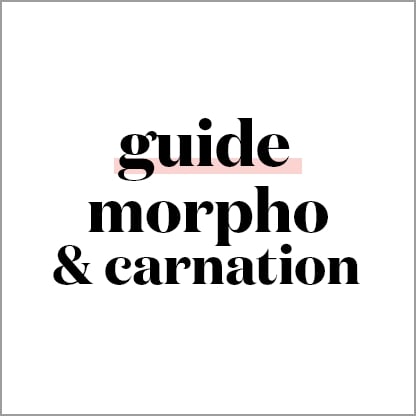 Guide Morphologie et Carnation RougeGorge